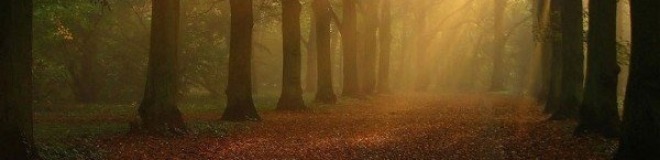 иисус христос краиугольный каминь а апостали и пророки основание